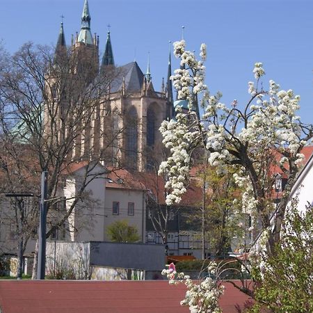 Hotelpension Am Dom Erfurt Ngoại thất bức ảnh