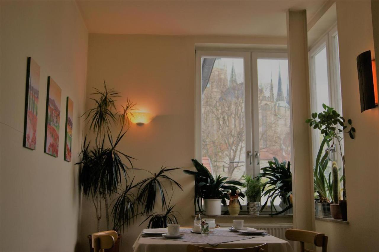 Hotelpension Am Dom Erfurt Ngoại thất bức ảnh