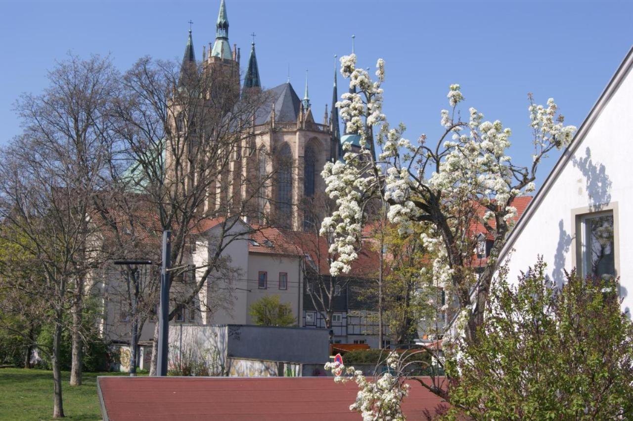Hotelpension Am Dom Erfurt Ngoại thất bức ảnh